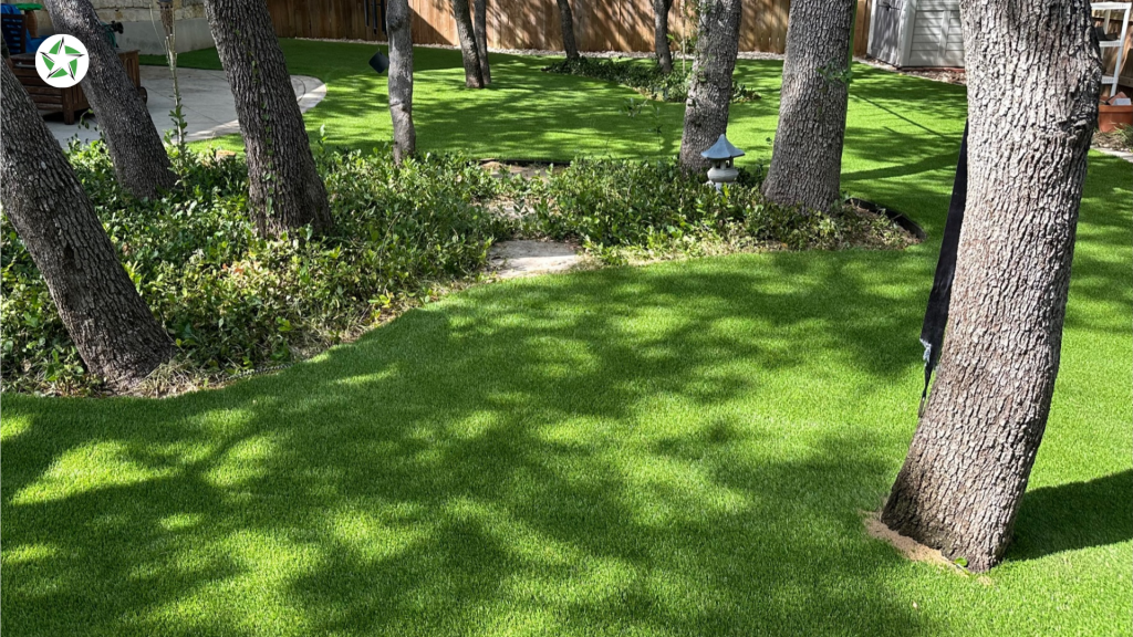 Backyard turf lawn under mature oaks where fallen debris makes it important to maintain artificial turf, How to Clean and Maintain Artificial Turf (Without Wrecking It), Lone Star Turf Texas