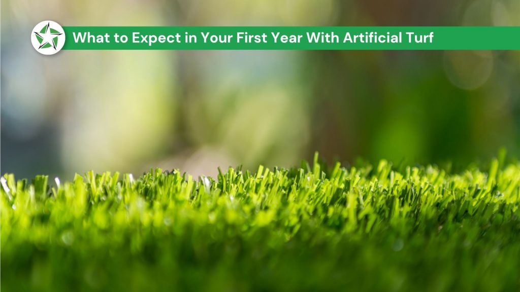 Close-up of upright artificial turf blades with a sunlit yard blurred behind them, the look homeowners keep through year one with artificial turf, Year One With Artificial Turf: What to Expect, Lone Star Turf Texas