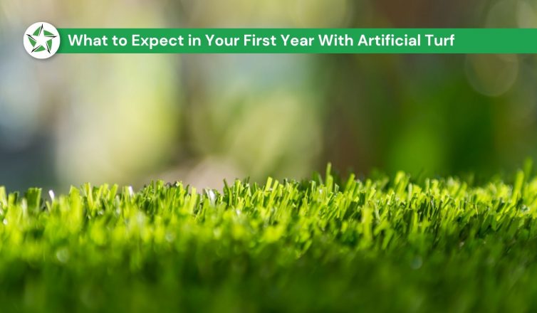 Close-up of upright artificial turf blades with a sunlit yard blurred behind them, the look homeowners keep through year one with artificial turf, Year One With Artificial Turf: What to Expect, Lone Star Turf Texas