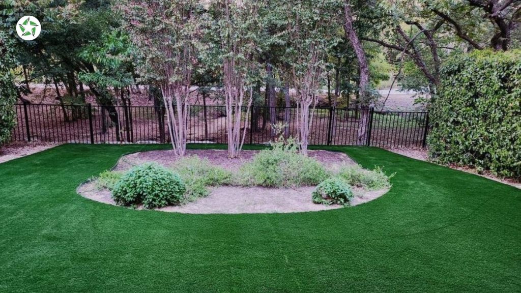 Freshly installed turf lawn wrapping an island planting bed inside a black iron fence during the first weeks of year one with artificial turf, Year One With Artificial Turf: What to Expect, Lone Star Turf Texas