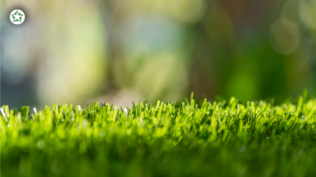 Close-up of upright turf blades kept springy by regular brushing to maintain artificial turf, How to Clean and Maintain Artificial Turf (Without Wrecking It), Lone Star Turf Texas