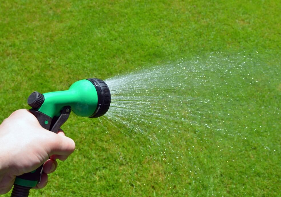cleaning and maintaining fake grass for pets odor, lifespan, digging & more
