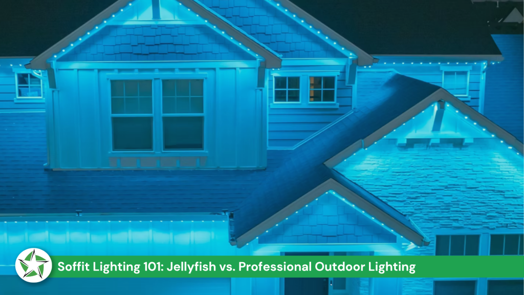 Permanent outdoor lighting at night, Jellyfish Lighting vs. Professional Install: What Is
