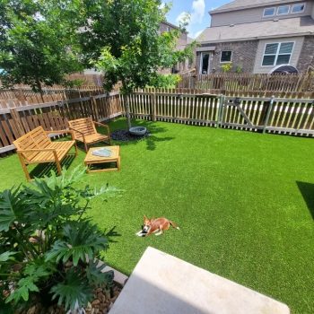 designing a pet friendly yard with artificial turf