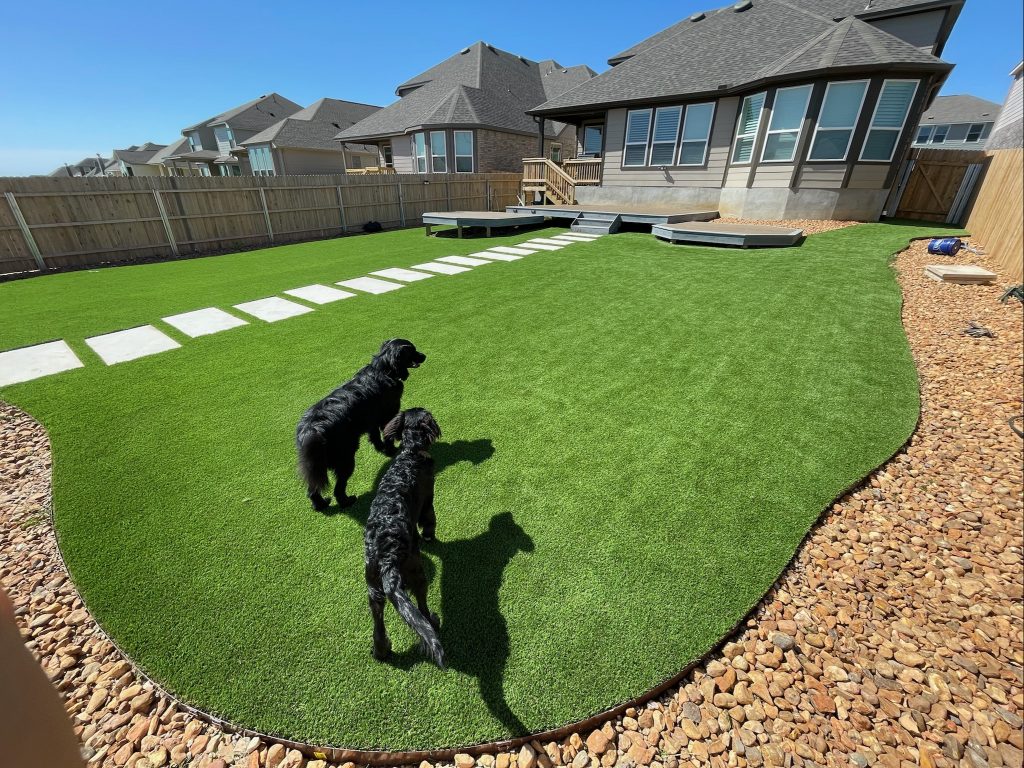  6:39 PM Two dogs playing on artificial turf in a Texas backyard with stepping stones and river rock border — Why Won't Grass Grow in My Texas Backyard answered by Lone Star Turf pet-friendly installation