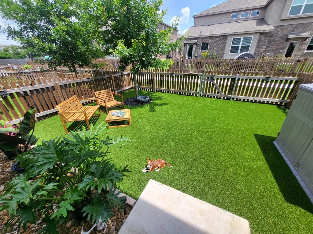 A small brown dog resting in the sun on pet-friendly turf
