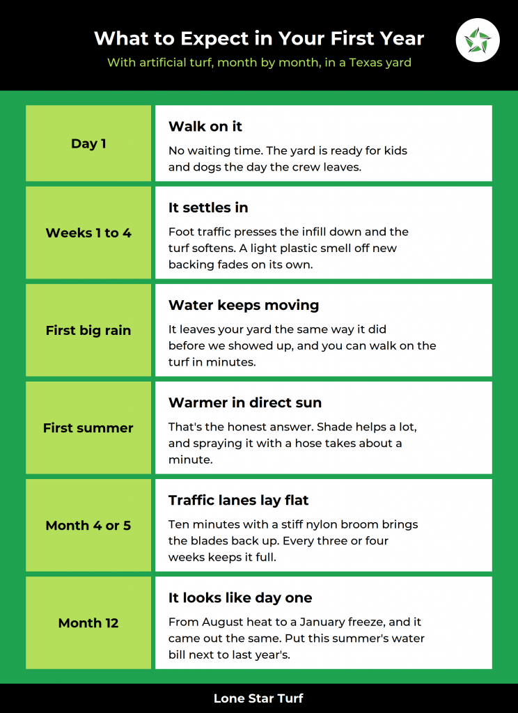 Timeline graphic laying out the six things to expect in year one with artificial turf, from day one through month twelve, What to Expect in Your First Year with Artificial Turf, Lone Star Turf Texas