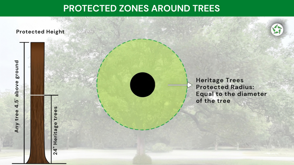 Artificial turf cost in Austin: artificial turf installed around mature live oaks on a central Austin lot. How Much Does Artificial Turf Cost in Austin? (2026 Pricing Guide). Lone Star Turf Texas.