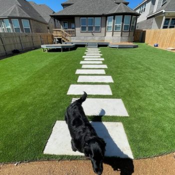 pet turf safety is fake grass safe for dogs, kids, and families