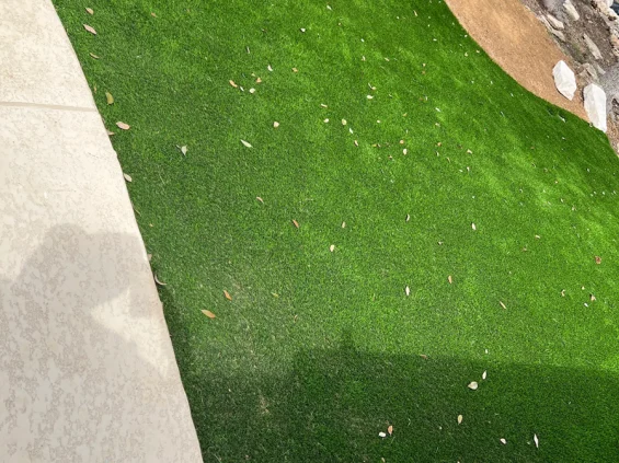 Artificial turf in Pflugerville Project