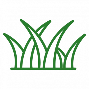 premium artificial turf solutions