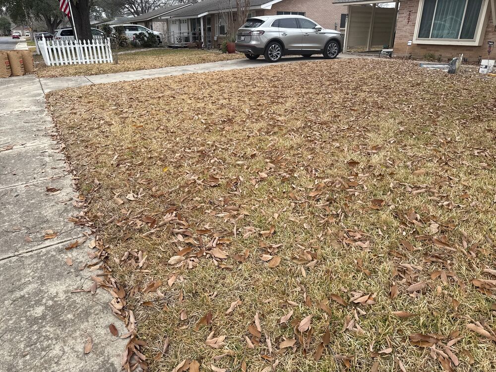 Before Artificial Turf - Muddy and patchy yard