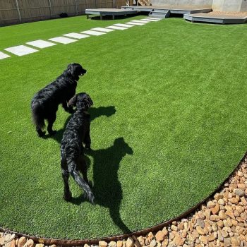 artificial grass for pets
