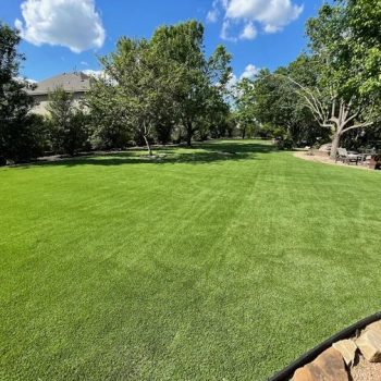 install lawn turf