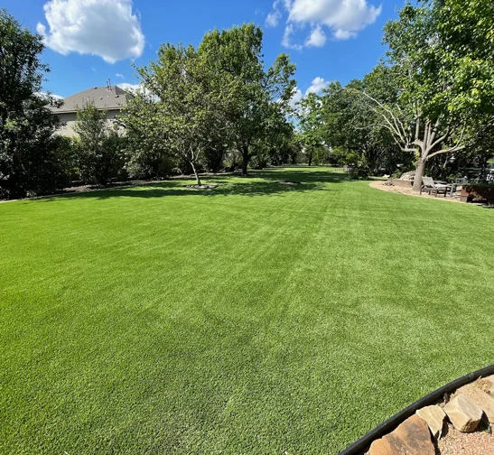 install lawn turf austin