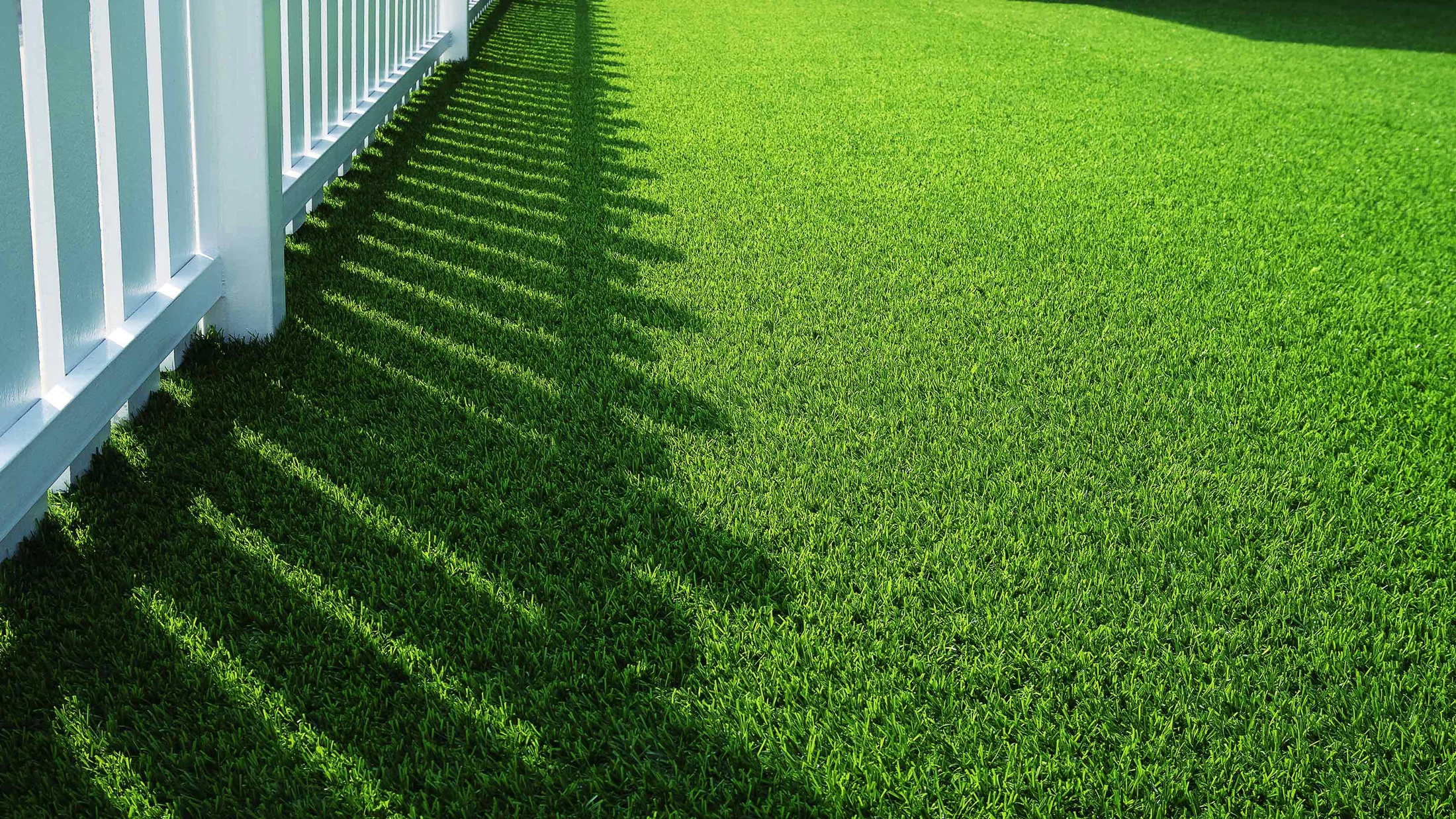 lone star artificial turf installation austin