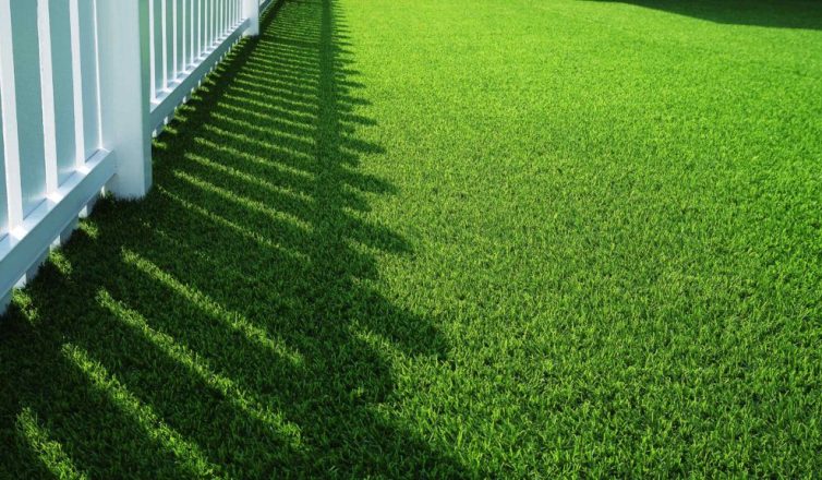 lone star turf artificial turf grass vs sod