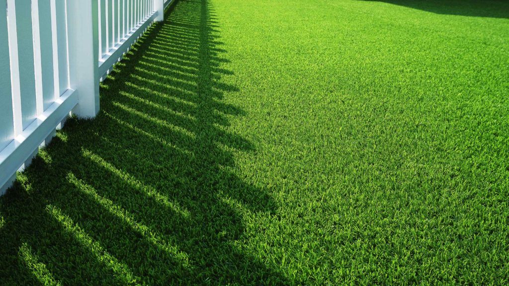 Artificial Grass Vs Sod — Which Is Better? Lone Star Turf