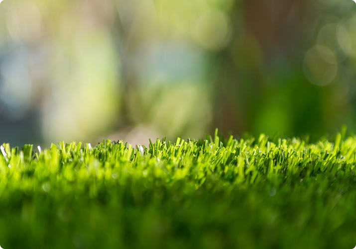 Lsturf grass lsturf grass