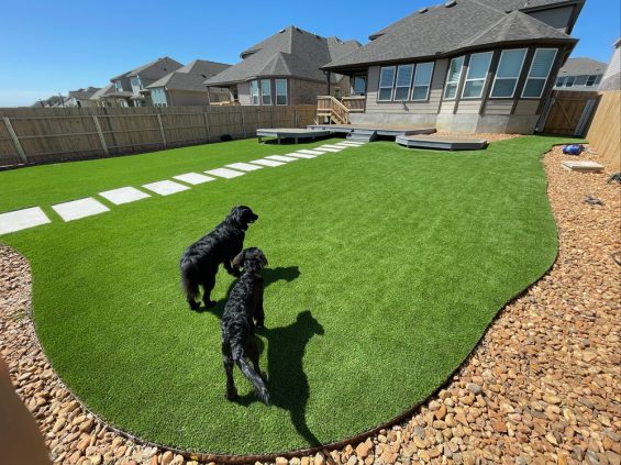 pet friendly turf installation dallas