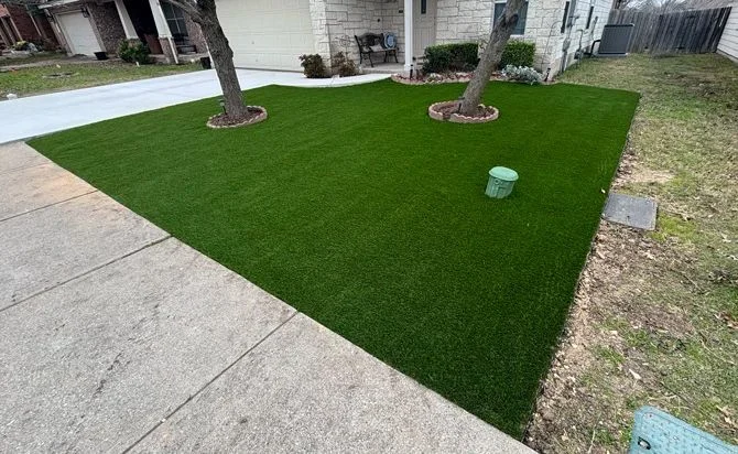 turf for lawns